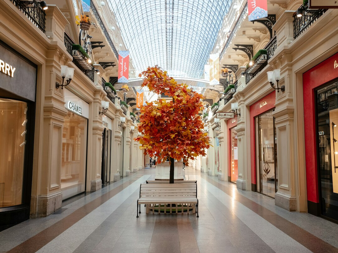 quiet bench in mall